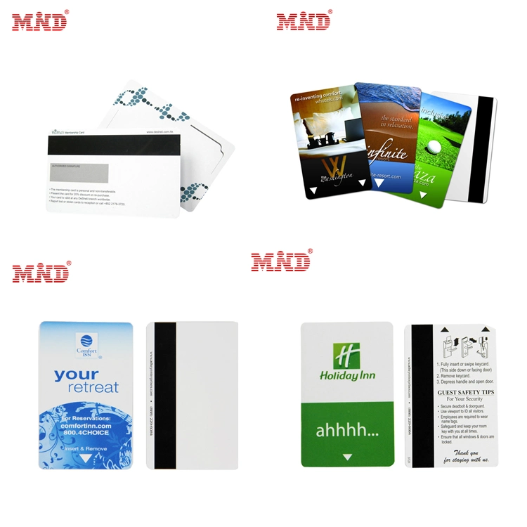 Cmyk Printing Promotion Plastic Magnetic Stripe Gift Card